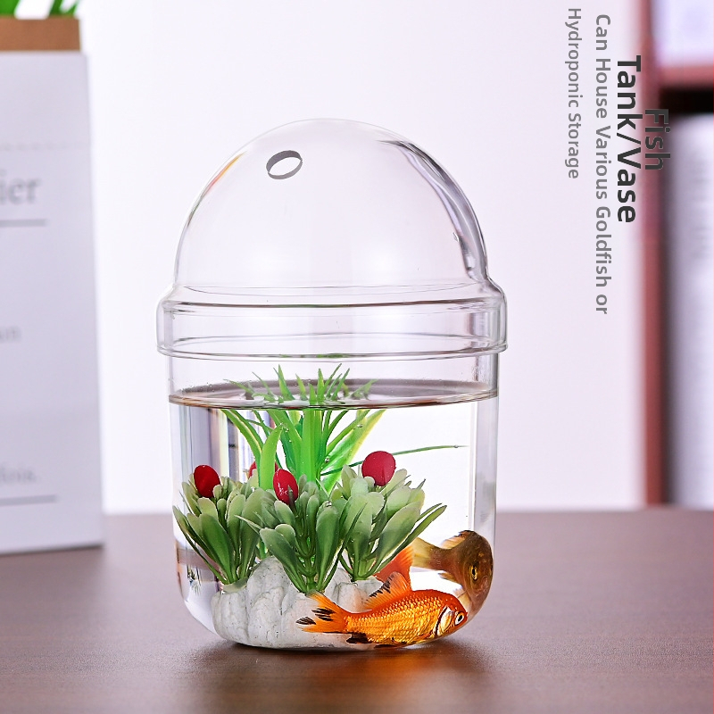 Υδροπονικό φιαλίδιο φυτών για επιτραπέζιο διακοσμητικό — Haomeng, γυαλί υψηλής ποιότητας, μη εισαγόμενο, συσκευασία από χαρτόνι, για τοποθέτηση στην επιφάνεια