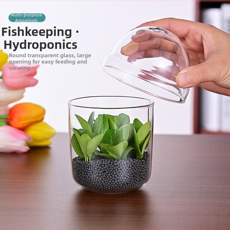 Υδροπονικό φιαλίδιο φυτών για επιτραπέζιο διακοσμητικό — Haomeng, γυαλί υψηλής ποιότητας, μη εισαγόμενο, συσκευασία από χαρτόνι, για τοποθέτηση στην επιφάνεια