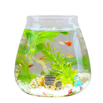 Γυάλινο ενυδρείο Betta για γραφείο και σαλόνι, με συσκευασία σε δίσκο, μη εισαγόμενο, όχι δώρο