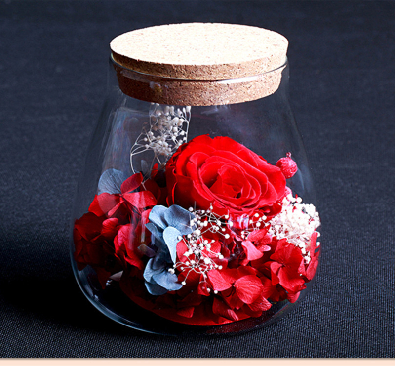 Γυάλινο ενυδρείο Betta για γραφείο και σαλόνι, με συσκευασία σε δίσκο, μη εισαγόμενο, όχι δώρο