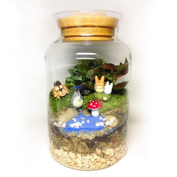 Γυάλινο ενυδρείο μικροτοπίου για γραφείο και σαλόνι — γυαλί υψηλής ποιότητας, σχέδιο οικολογικού μπουκαλιού, επιτραπέζια έκθεση