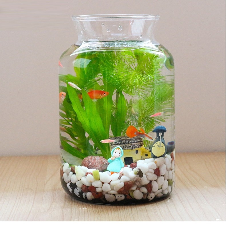 Γυάλινο ενυδρείο μικροτοπίου για γραφείο και σαλόνι — γυαλί υψηλής ποιότητας, σχέδιο οικολογικού μπουκαλιού, επιτραπέζια έκθεση