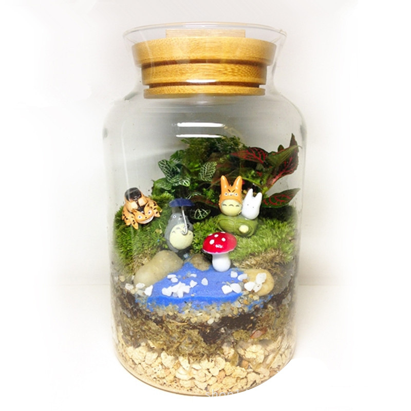 Γυάλινο ενυδρείο μικροτοπίου για γραφείο και σαλόνι — γυαλί υψηλής ποιότητας, σχέδιο οικολογικού μπουκαλιού, επιτραπέζια έκθεση