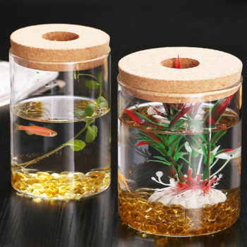 Υδροπονική μικροτοπία φιάλη προβολής από γυαλί υψηλής πυριτίας — επιτραπέζιο διακοσμητικό