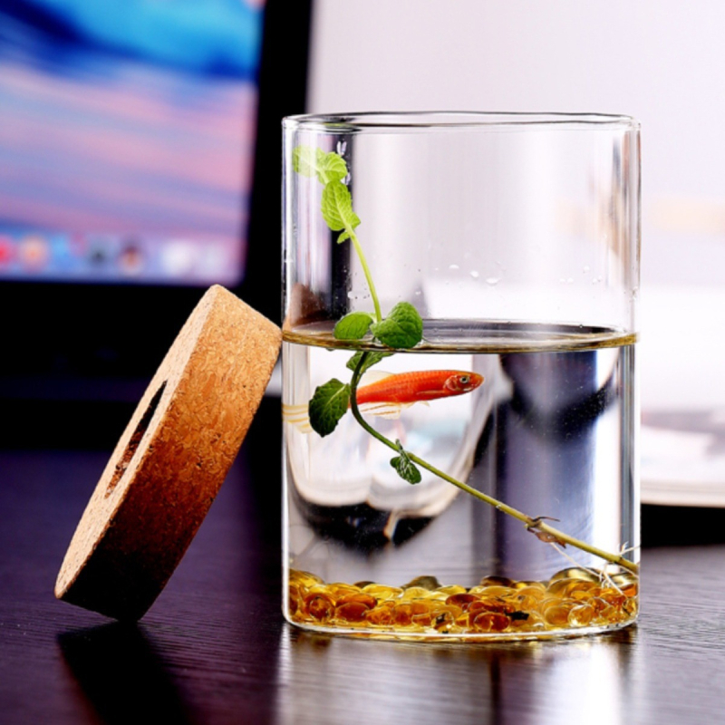 Υδροπονική μικροτοπία φιάλη προβολής από γυαλί υψηλής πυριτίας — επιτραπέζιο διακοσμητικό