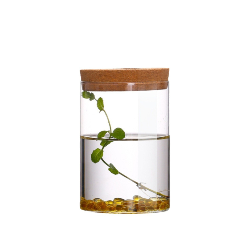 Υδροπονική μικροτοπία φιάλη προβολής από γυαλί υψηλής πυριτίας — επιτραπέζιο διακοσμητικό