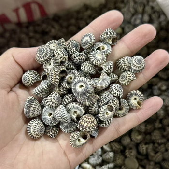 Šešir od slame sa školjkom – Ocean Love, prirodno ručno izrađeno, mediteranski stil, poklon za posao