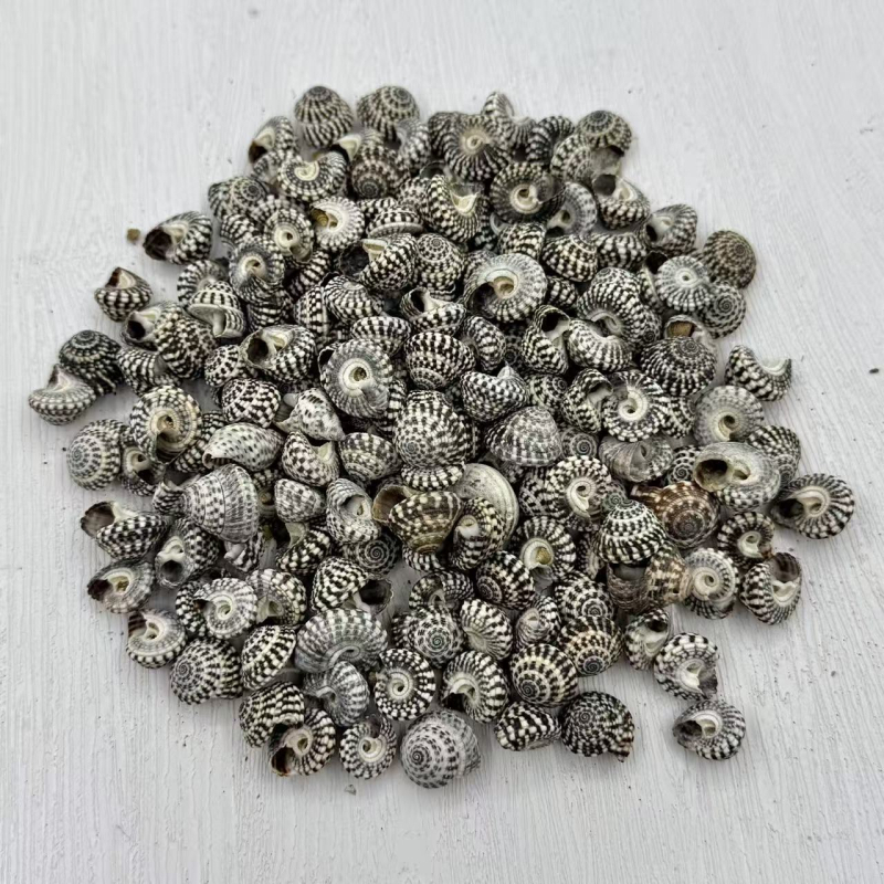 Šešir od slame sa školjkom – Ocean Love, prirodno ručno izrađeno, mediteranski stil, poklon za posao