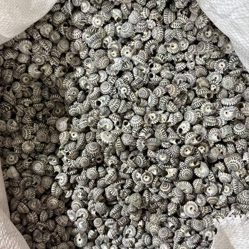 Šešir od slame sa školjkom – Ocean Love, prirodno ručno izrađeno, mediteranski stil, poklon za posao