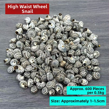 Dekorativni materijal od školjki – prirodni, mediteranski stil; školjke i conch; za drift boce i akvarijske krajolike; Ocean Love