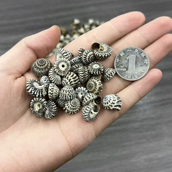 Dekorativni materijal od školjki – prirodni, mediteranski stil; školjke i conch; za drift boce i akvarijske krajolike; Ocean Love