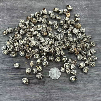 Dekorativni materijal od školjki – prirodni, mediteranski stil; školjke i conch; za drift boce i akvarijske krajolike; Ocean Love