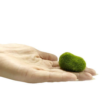 Dekoracija akvarijske krajine od smole – 220 g, pakiranje 50 komada