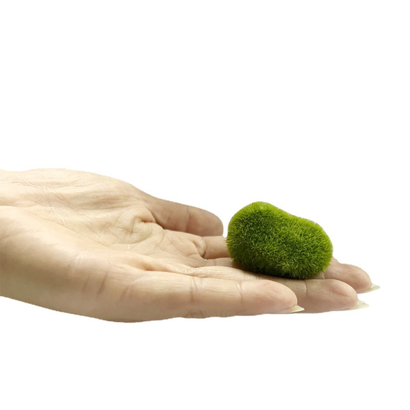 Dekoracija akvarijske krajine od smole – 220 g, pakiranje 50 komada