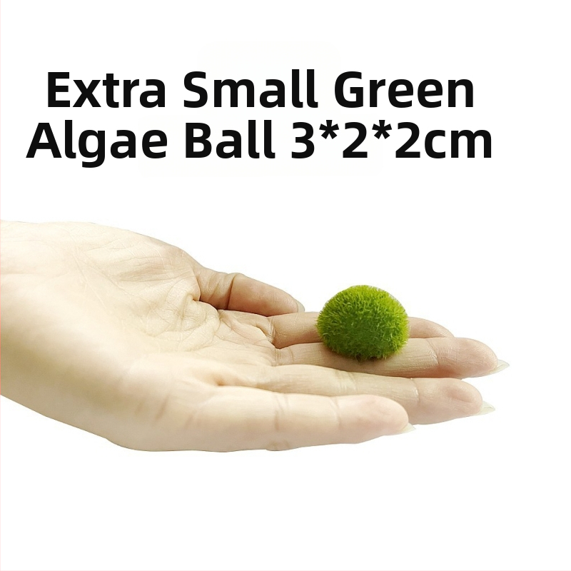 Dekoracija akvarijske krajine od smole – 220 g, pakiranje 50 komada