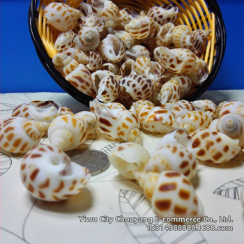 Dekor za akvarij od školjki - Underwater Baby, prirodne školjke, prirodan oblik, novi kineski stil