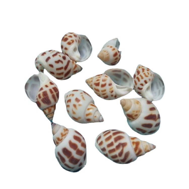 Dekor za akvarij od školjki - Underwater Baby, prirodne školjke, prirodan oblik, novi kineski stil