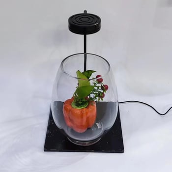 Аквариумна лампа с акрилно-пластмасова плоча и алуминиева конструкция, подсветка, марка EGB, мощност 3–9W, тегло 0,5 кг