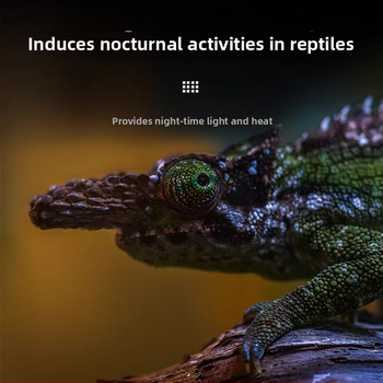 Reptishow Grijanje i basking lampu za reptile i male ljubimce — noćna svjetlost
