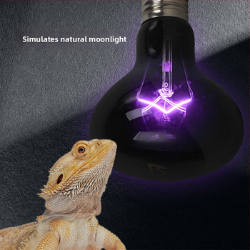 Reptishow Grijanje i basking lampu za reptile i male ljubimce — noćna svjetlost