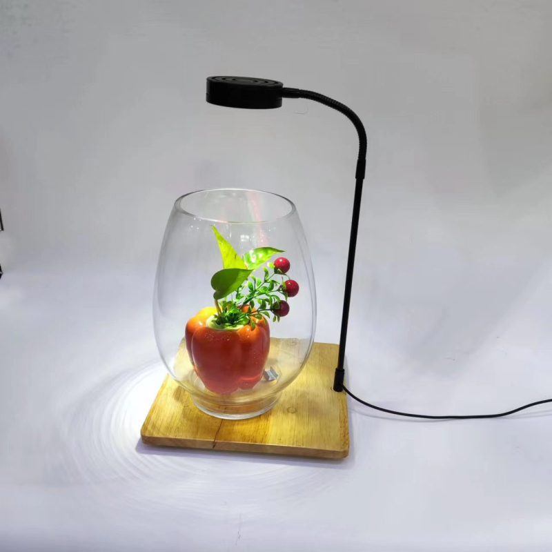 LED svjetlo za akvarij USB, timer i prilagodljivo podešavanje osvjetljenja za biljke