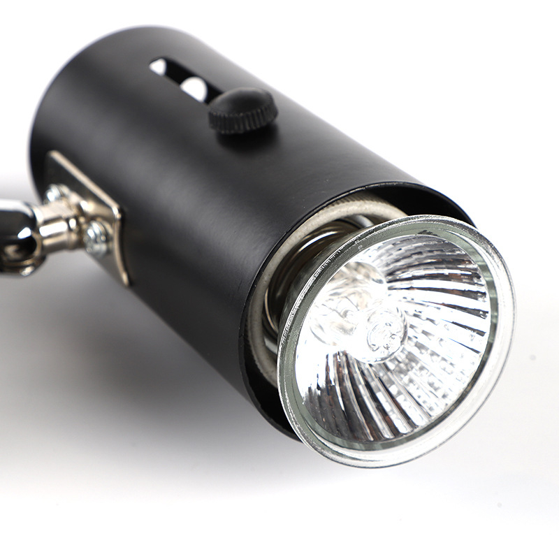 Prilagođena lampa za kornjače za sunčanje s regulacijom intenziteta i tajmerom, potpuno spektralna grijaća lampa za reptile (25W/50W)