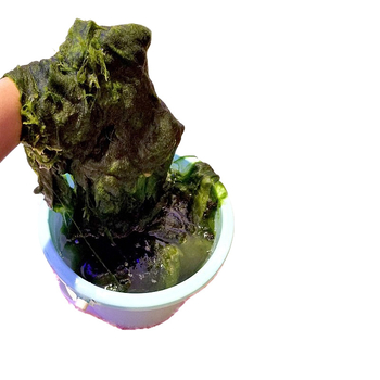 LED лампа за аквариум със ABS корпус, 20W, модел tb-591381593211, марка Accumulated Light