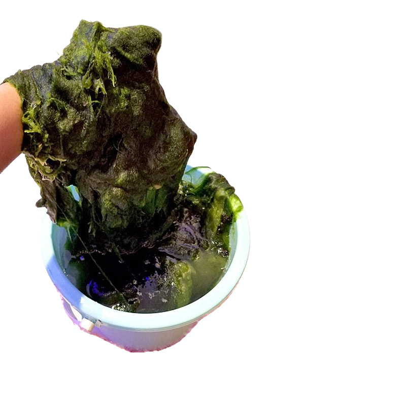 LED лампа за аквариум със ABS корпус, 20W, модел tb-591381593211, марка Accumulated Light