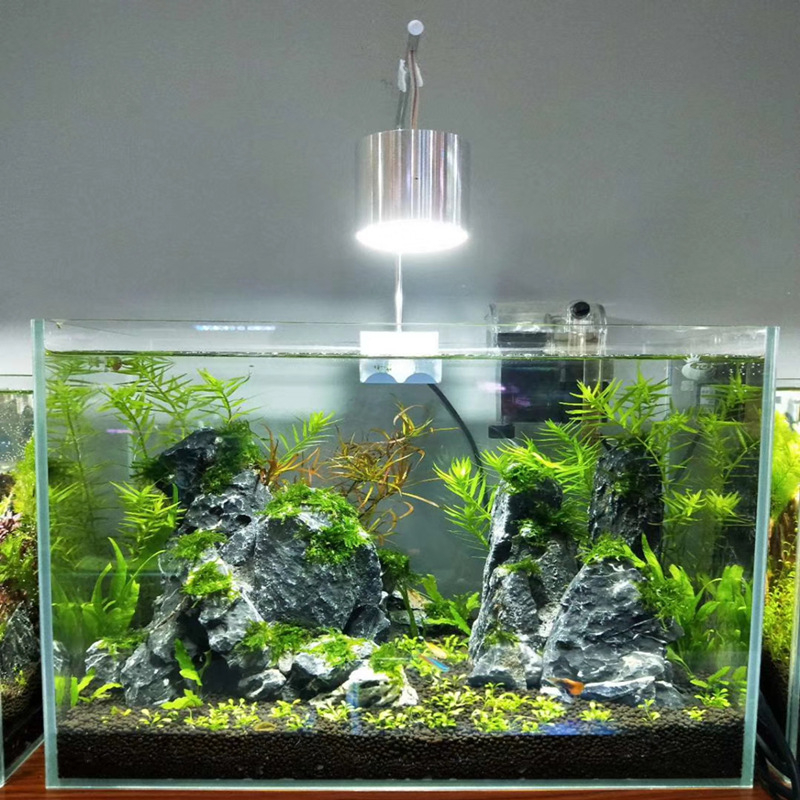 LED klips lampica za akvarij, 5W, aluminijska legura, 0,2 kg
