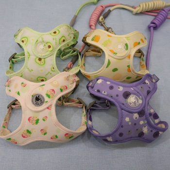 Lanac za pse, nehrđajući čelik, prilagodljiv, podrijetlo Zhejiang