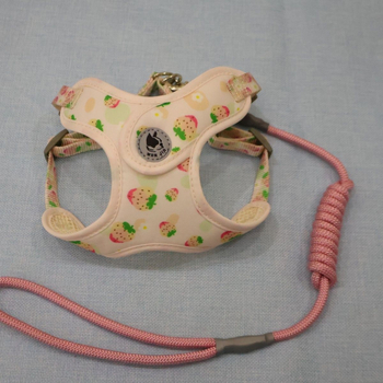 Lanac za pse, nehrđajući čelik, prilagodljiv, podrijetlo Zhejiang