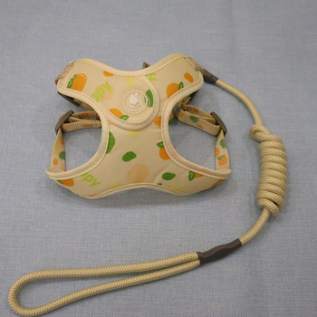 Lanac za pse, nehrđajući čelik, prilagodljiv, podrijetlo Zhejiang