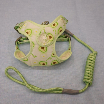 Lanac za pse, nehrđajući čelik, prilagodljiv, podrijetlo Zhejiang