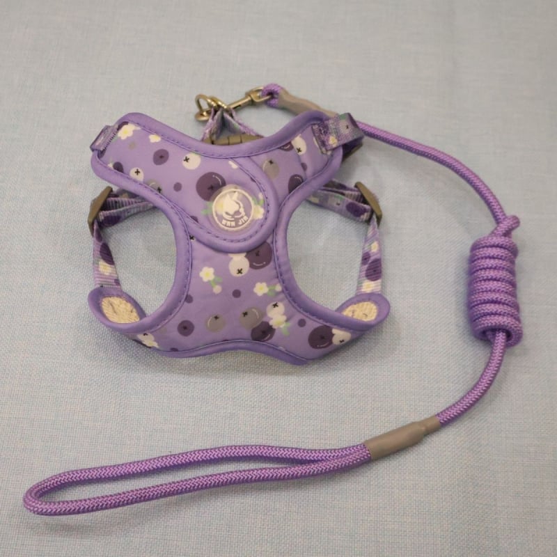 Lanac za pse, nehrđajući čelik, prilagodljiv, podrijetlo Zhejiang