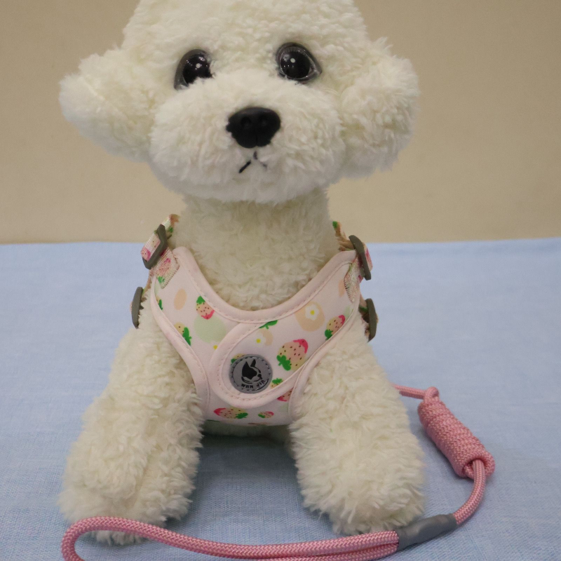 Lanac za pse, nehrđajući čelik, prilagodljiv, podrijetlo Zhejiang