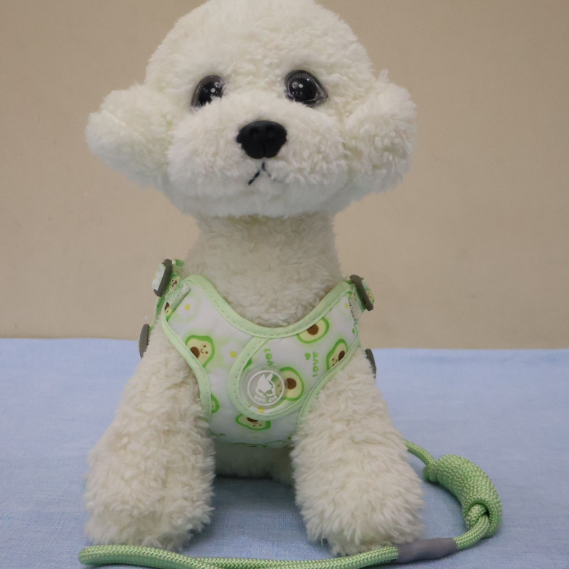 Lanac za pse, nehrđajući čelik, prilagodljiv, podrijetlo Zhejiang