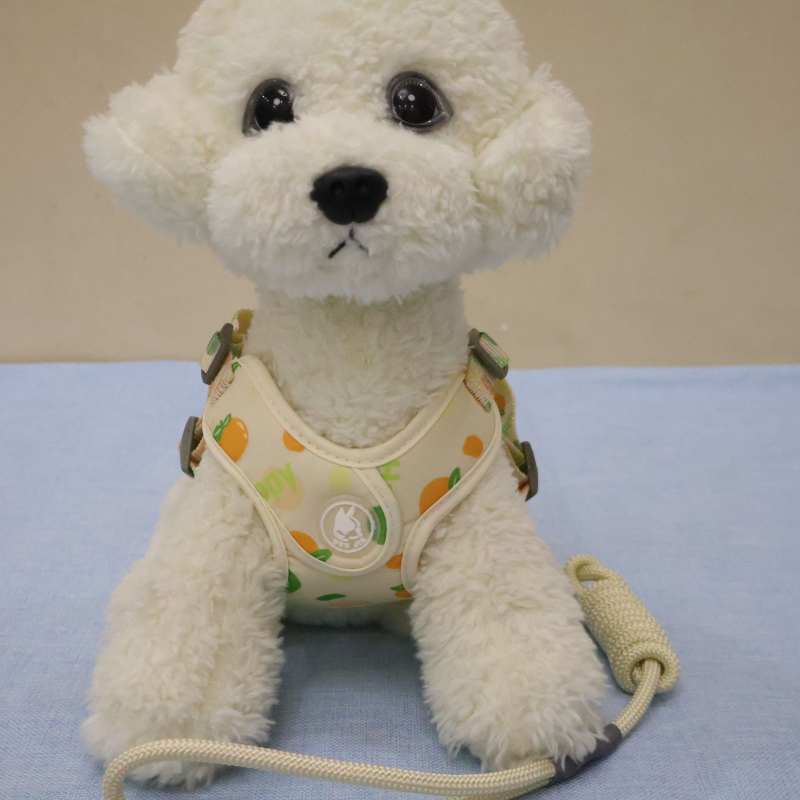 Lanac za pse, nehrđajući čelik, prilagodljiv, podrijetlo Zhejiang