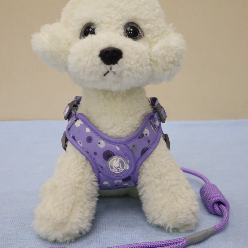 Lanac za pse, nehrđajući čelik, prilagodljiv, podrijetlo Zhejiang