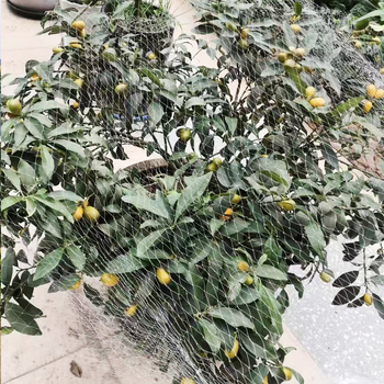 Najlonska mreža za zaštitu voćaka od ptica – mreža za jedno stablo (trešnja, grožđe)