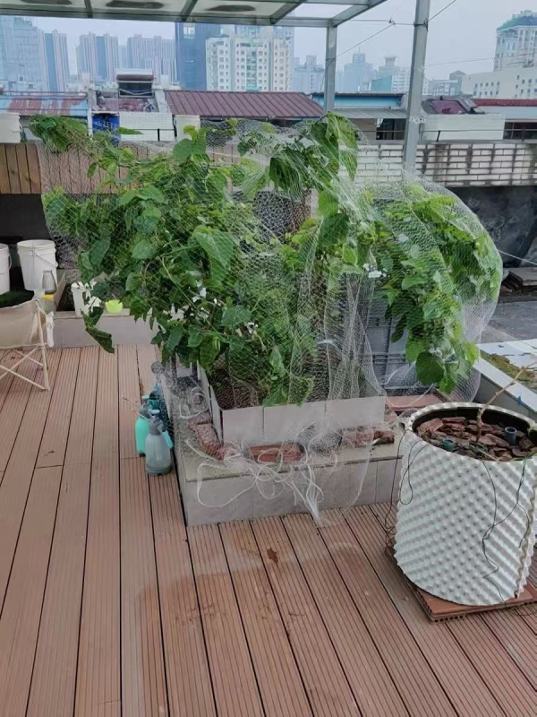 Najlonska mreža za zaštitu voćaka od ptica – mreža za jedno stablo (trešnja, grožđe)