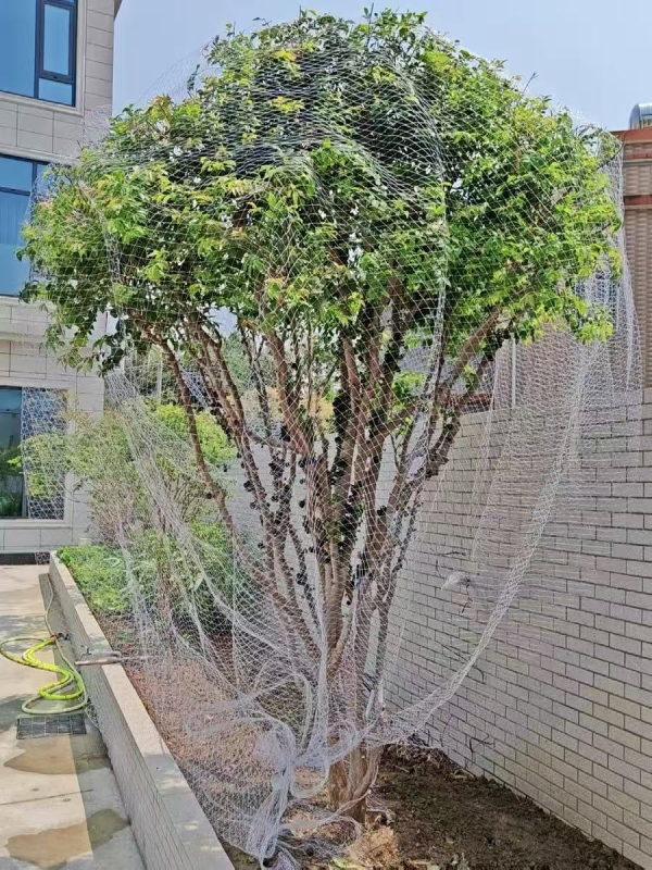 Najlonska mreža za zaštitu voćaka od ptica – mreža za jedno stablo (trešnja, grožđe)