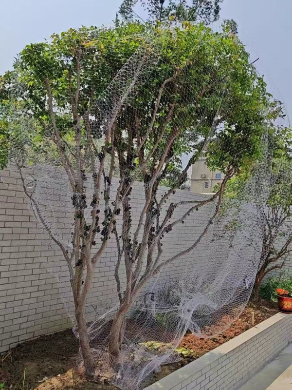 Najlonska mreža za zaštitu voćaka od ptica – mreža za jedno stablo (trešnja, grožđe)