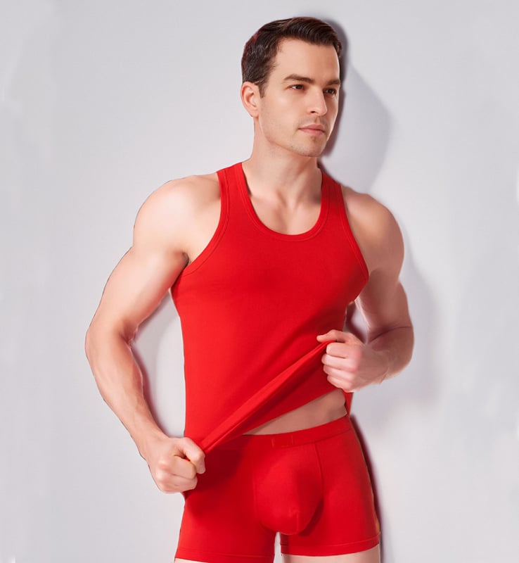 Ανδρική Ι-μορφή γιλέκο, στρογγυλός λαιμός, μίγμα Lycra και βαμβάκι, 95–100% βαμβάκι, μεσαίο βάρος 141–160 g/m², μινιμαλιστικό ύφος, κατάλληλο για όλες τις εποχές