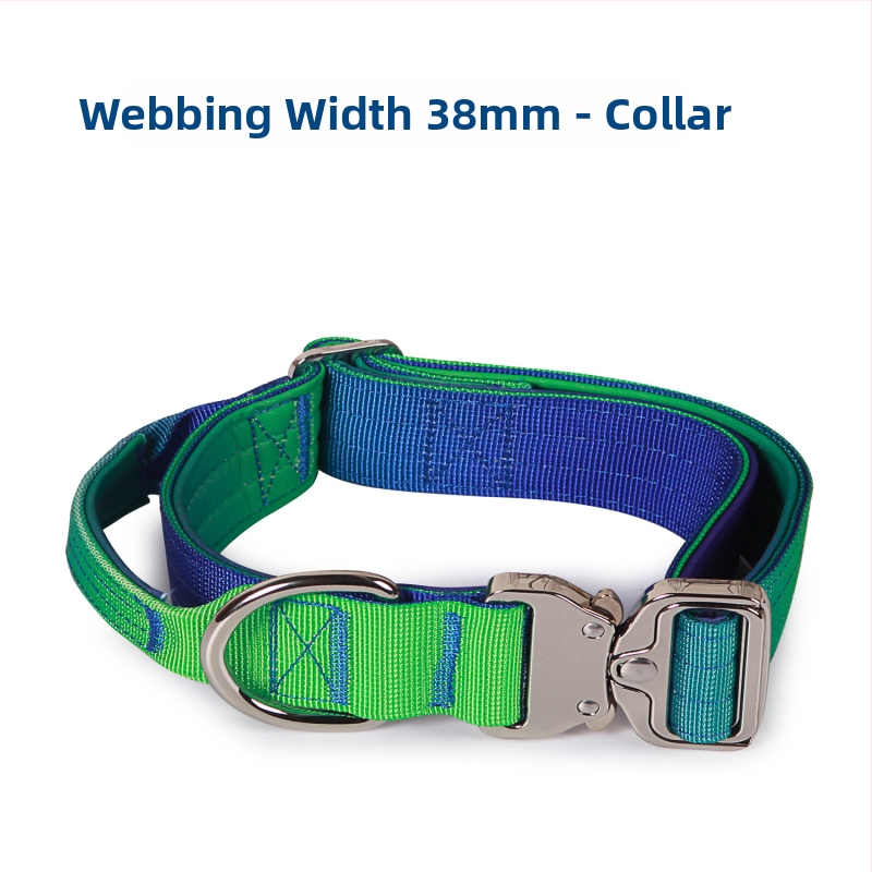 Hamă și lesă pentru câini, gradient din nailon, Brand Lardeau, Material: nailon, Origine: Guangdong, Lungime fixă