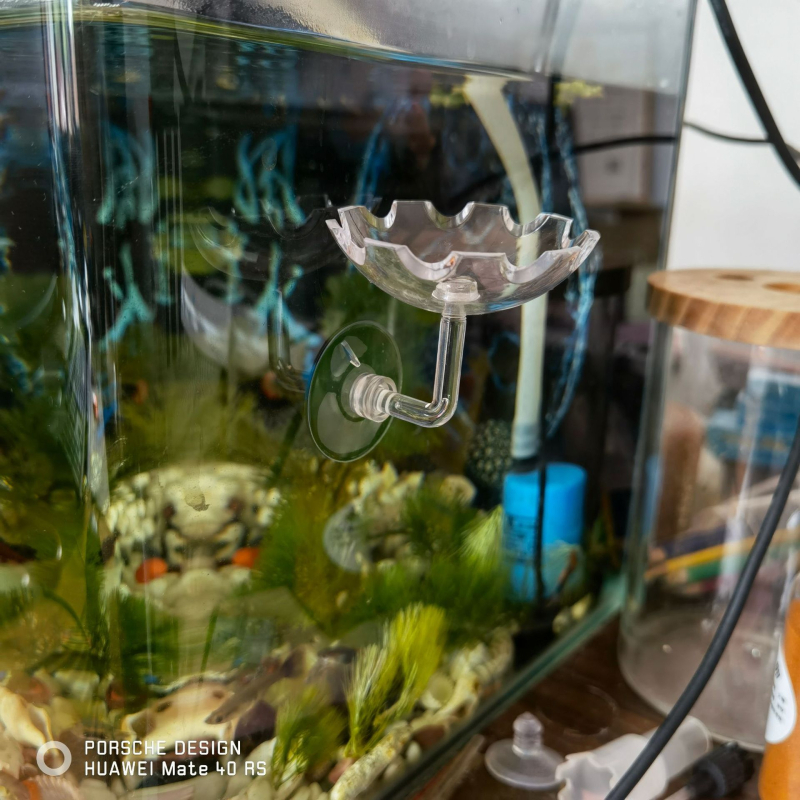 Tubă de hrănire acrilică pentru acvariu cu farfurie pentru creveți — set de 150 bucăți, Shengke Analysis