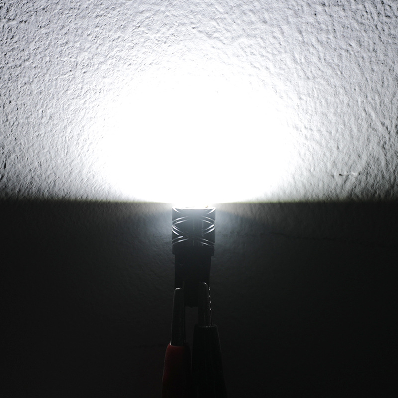 LED svjetlo za registarsku ploču T10 2835-4SMD, 3W, DC12-24V, 300LM, 6500K, 50000H