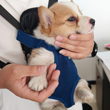 Geantă de piept pentru animale de companie, respirabilă, pentru pisici și câini, poliester, capacitate mare, brand Cute weaving