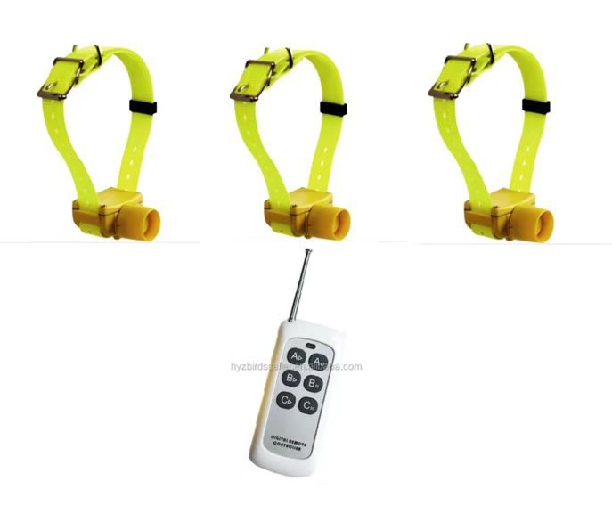 Kutyatraining csipogó nyakörv | ABS anyag | általános használatra | testreszabás elérhető | OEM/semleges márka