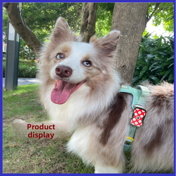 Beidou GPS nyomkövető kisállatok számára, 5 m pozíciós pontosság, IP67 vízálló, 15–30 napos üzemidő, beépített kerámiaantenna, több riasztás