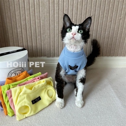 Mačji prsluk Zimska Toplina Waffle Velvet Ležerni Stil